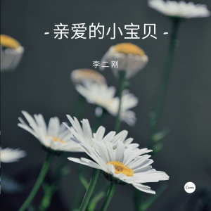 收听李二刚的亲爱的小宝贝歌词歌曲