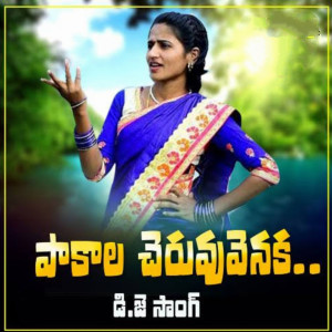 Listen to Pakala Cheruvenaka song with lyrics from Nirmala