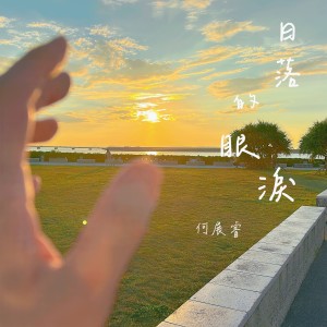 Listen to 日落的眼泪 (Live) song with lyrics from Steve Ho