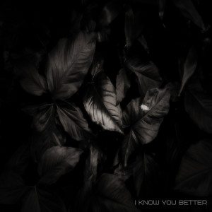 Listen to I Know You Better song with lyrics from 7souls