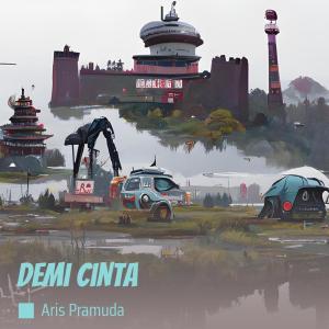 aris pramuda的專輯demi cinta