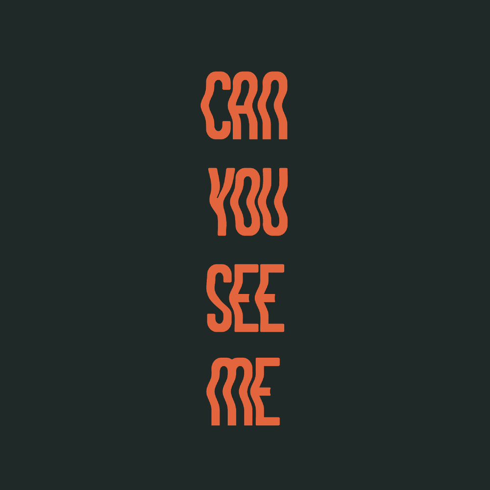 Can You See Me