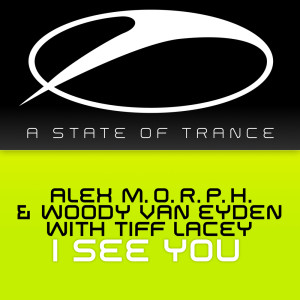 Dengarkan lagu I See You (Matt Bukovski Radio Edit) nyanyian Alex M.O.R.P.H. dengan lirik