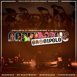 Album Bashimane Ba Di Polo (feat. Mapara A Jazz, Shandesh, Teammosha MRD & De Heavyweight) from Chillibite