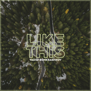 ดาวน์โหลดและฟังเพลง Like This พร้อมเนื้อเพลงจาก Vadim Bonkrashkov