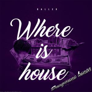 Listen to Where is House song with lyrics from Rallex