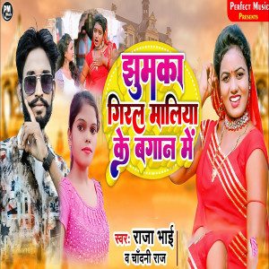 Listen to Jhumka Giral Maliya Ke Bagan Me song with lyrics from Raja Bhai