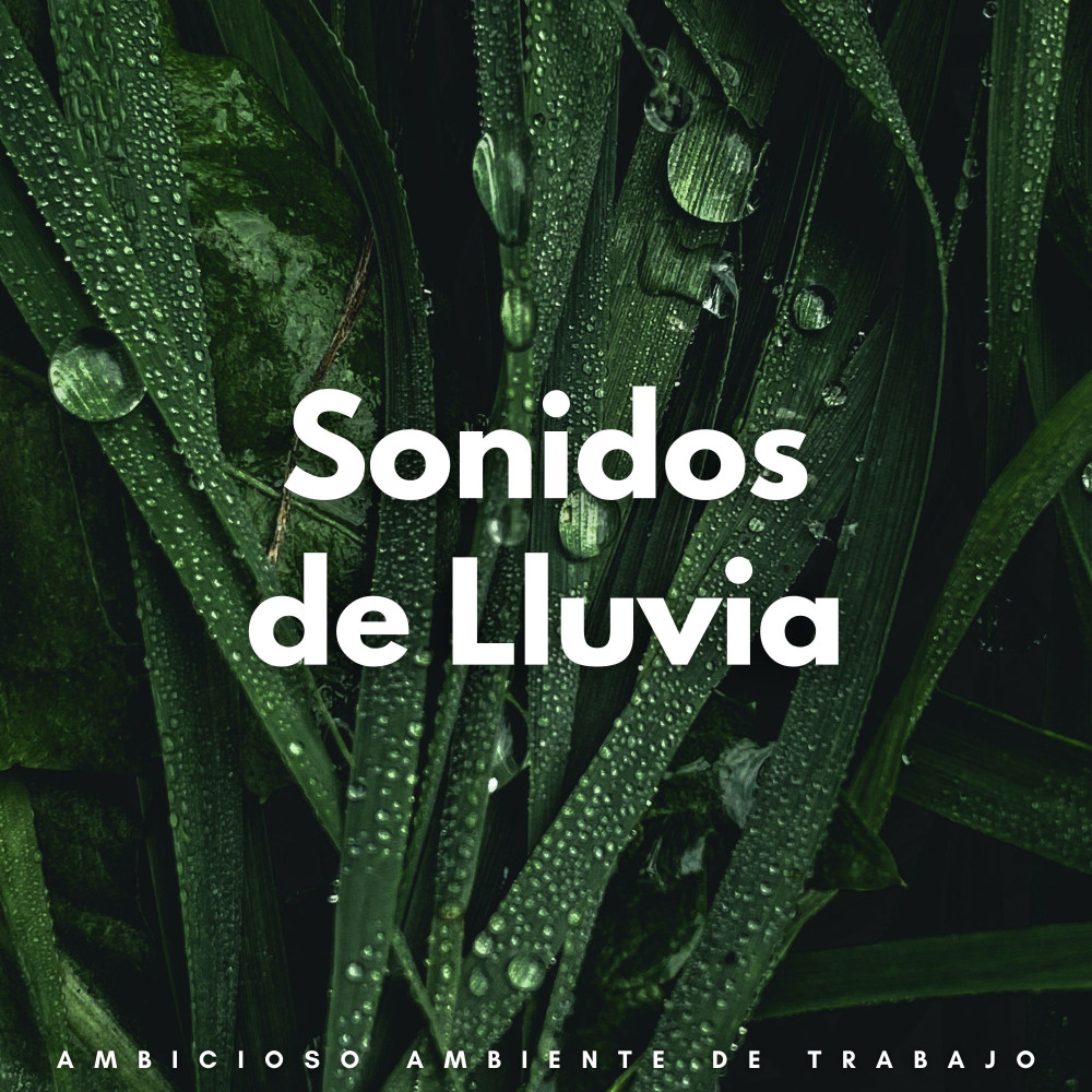 Aguacero Determinado Para El Éxito