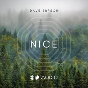 Album Nice (8D Audio) from Dave Erpson