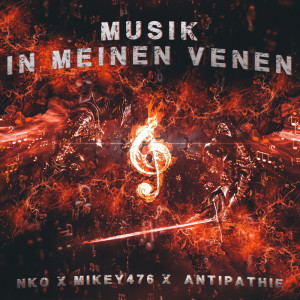 อัลบัม Musik In Meinen Venen (Explicit) ศิลปิน Antipathie