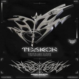 ดาวน์โหลดและฟังเพลง VINTAGE RAVE พร้อมเนื้อเพลงจาก Tegron