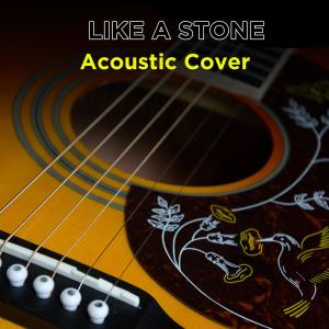 Like a Stone (Acoustic Instrumental) dari Pm waves
