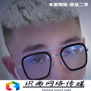 Listen to 杨二爷吖 (2022车载慢摇) song with lyrics from 卧龙二爷