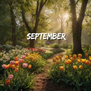 Album September from 