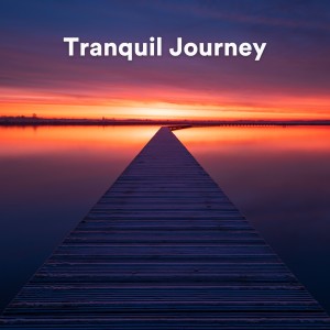 Album Tranquil Journey from Soft Music