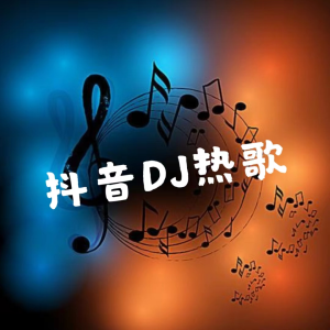 อัลบัม 抖音DJ热歌 ศิลปิน 声音恋人