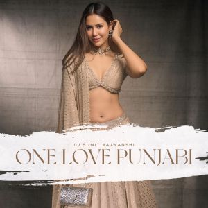 收听DJ Sumit Rajwanshi的One Love Punjabi歌词歌曲