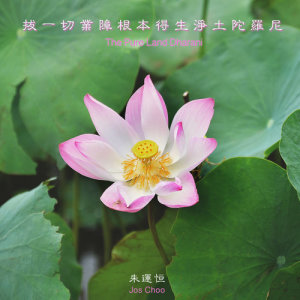 收听朱运恒的拔一切业障根本得生净土陀罗尼歌词歌曲