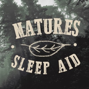 ดาวน์โหลดและฟังเพลง Garden Rill พร้อมเนื้อเพลงจาก Natural Sleep