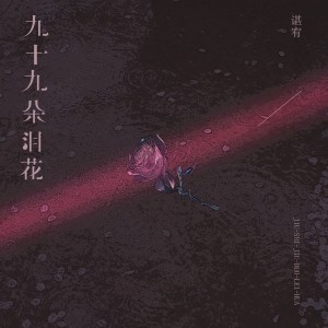 諶宥的專輯九十九朵淚花
