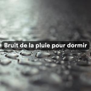 Sons De La Nature的专辑Bruit de la pluie pour dormir