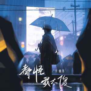 收聽於佰萬的都怪我太傻歌詞歌曲