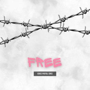 Album Free (Explicit) from 