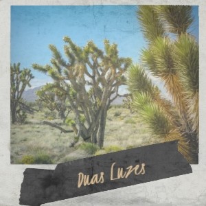 Album Duas Luzes from Various