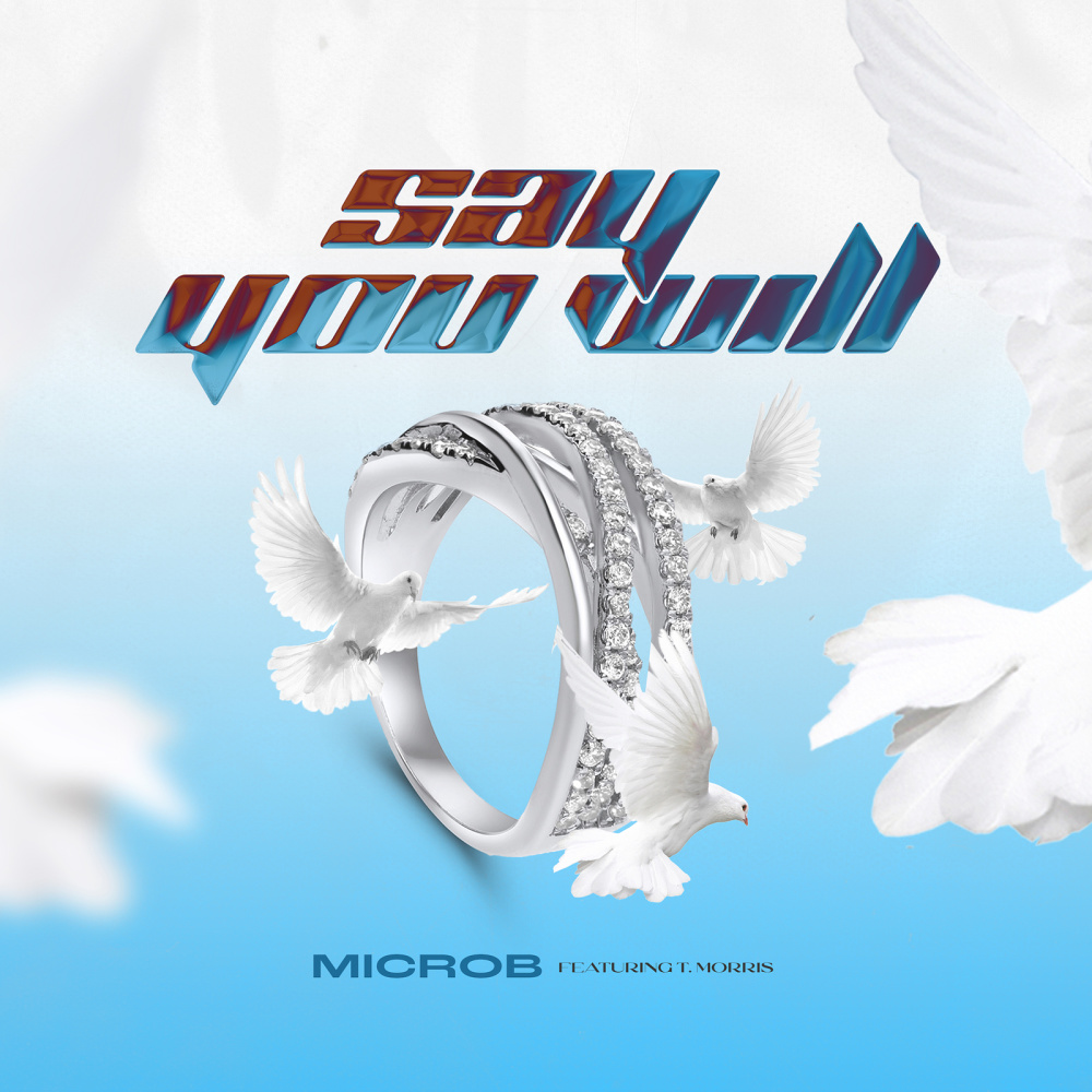 Say You Will