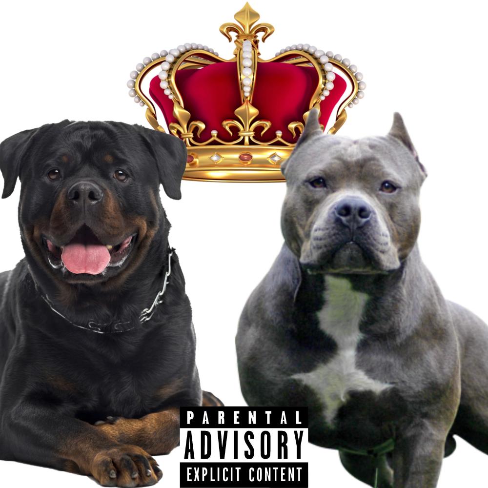 1 for The Team (Explicit)
