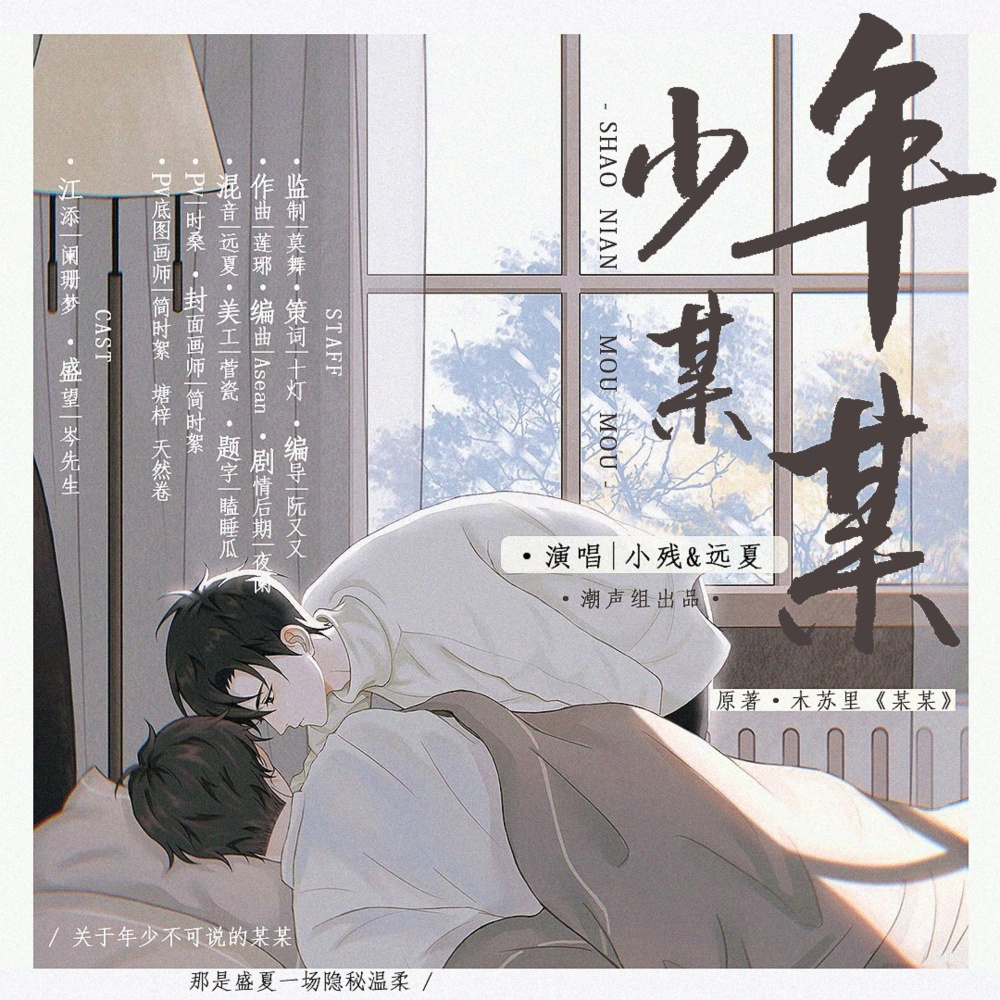 少年某某 (完整版)