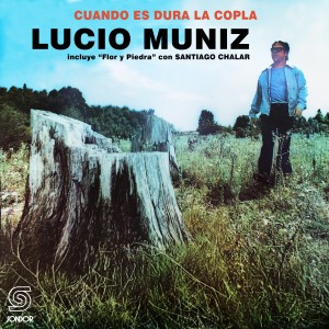 ดาวน์โหลดและฟังเพลง En el Viejo Taller พร้อมเนื้อเพลงจาก Lucio Muniz