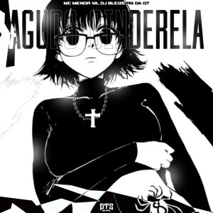 Album Agudo Cinderela (Explicit) oleh MC MENOR VA