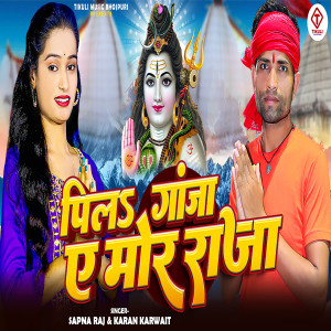 Album Pila Gaja A More Raja from Sapna Raj