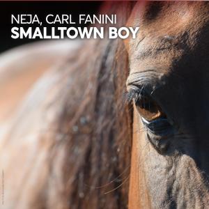 Neja的专辑Smalltown Boy