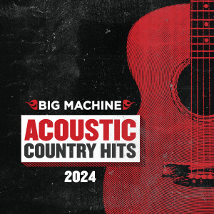 Various Artists的專輯Acoustic Country Hits 2024