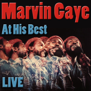 ดาวน์โหลดและฟังเพลง Medley: Mercy Mercy Me / What's Going On (Live) พร้อมเนื้อเพลงจาก Marvin Gaye