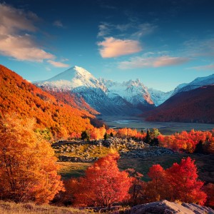 收聽Relaxing Music Romance的Quiet Growth In Reverb歌詞歌曲