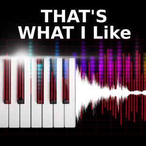 收聽That's What I Like的That's What I Like (Piano Version)歌詞歌曲