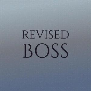 Various Artists的專輯Revised Boss