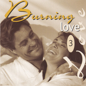 Album Burning Love, Vol. 3 oleh Various