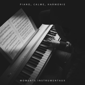 Dengarkan Thérapie sonore lagu dari Oasis de piano instrumental dengan lirik