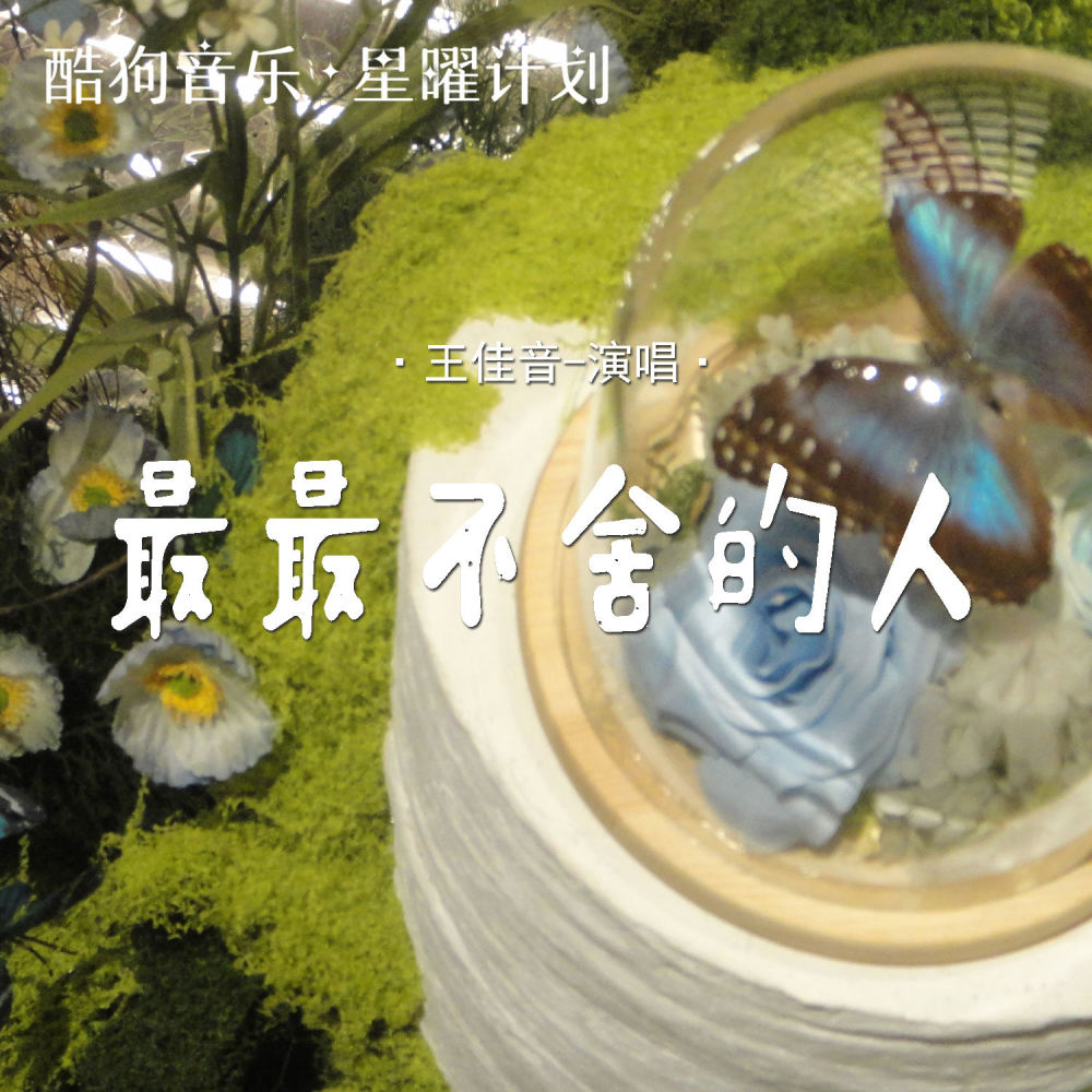 最最不舍的人 (街头版)