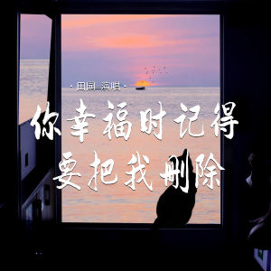 田园的专辑你幸福时记得要把我删除