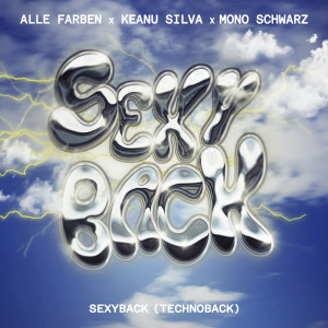 Alle Farben的專輯SexyBack (TechnoBack)