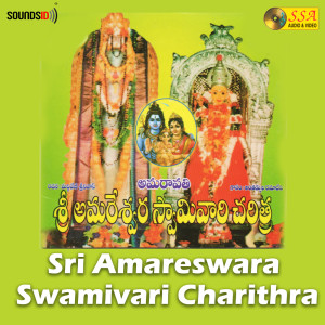 Listen to Sri Amareswara Swamivari Charithra, Pt. 2 song with lyrics from Maddiveni Srinivas