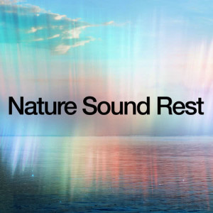 ดาวน์โหลดและฟังเพลง Chaffinch Brook พร้อมเนื้อเพลงจาก Nature Sounds for Sleep and Relaxation