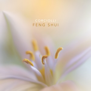 The Harmony of Feng Shui