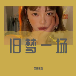 ดาวน์โหลดและฟังเพลง 执迷不悟（DJ版） พร้อมเนื้อเพลงจาก 黑暗萝莉