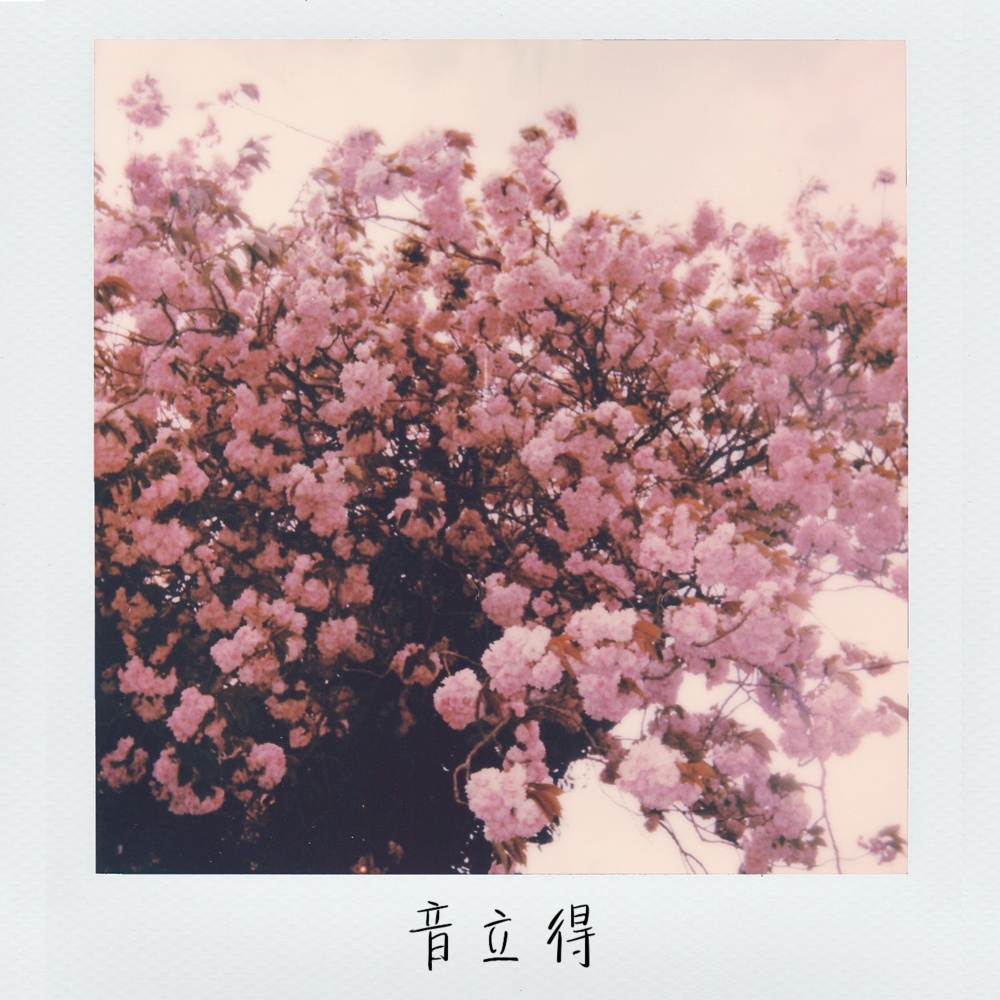 言逝 (完整版)